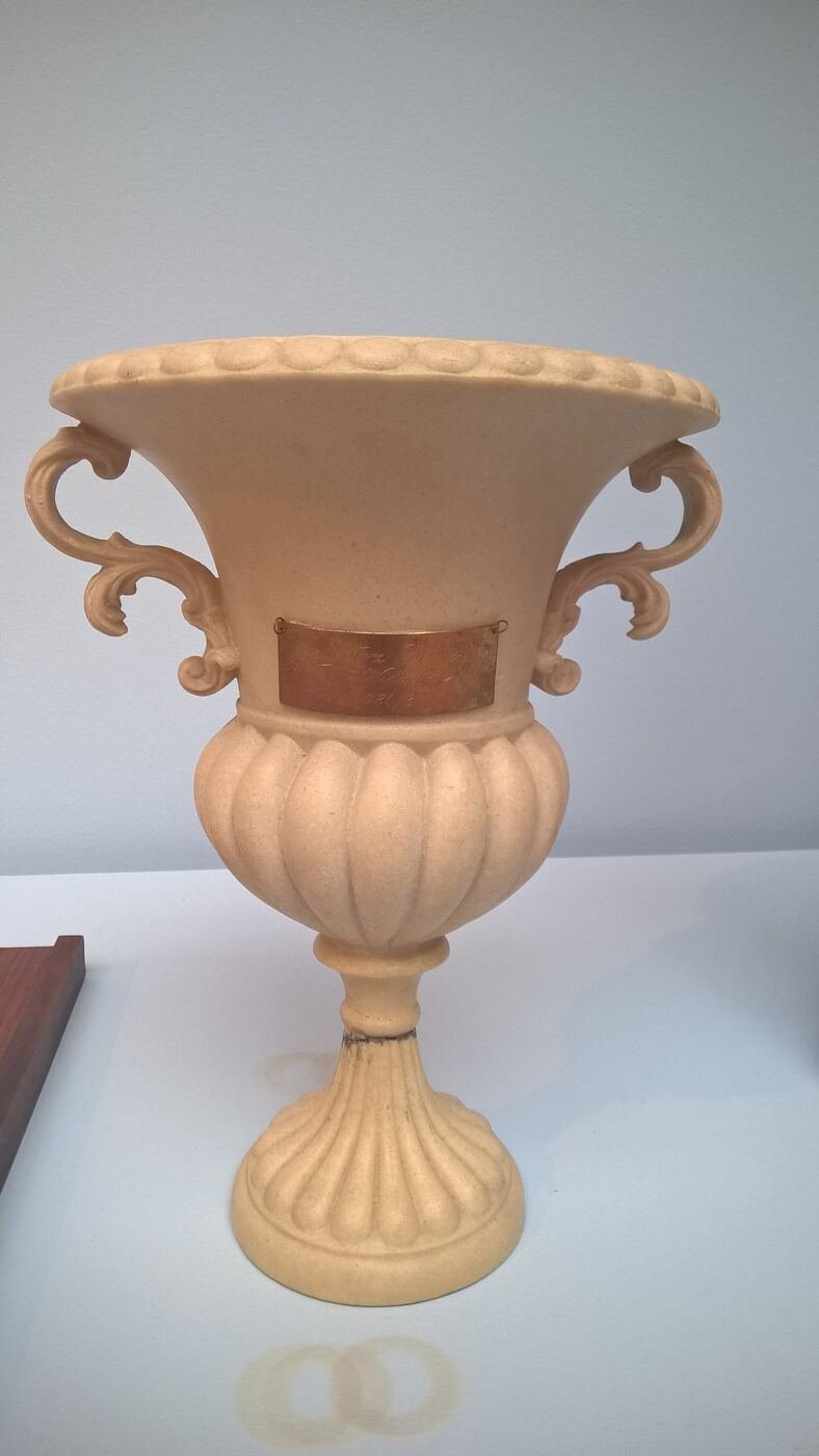 Trofeum dla mistrza Polski 1980/81